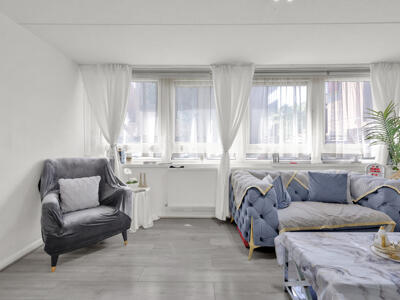 Picture 8